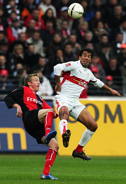 但他却仅有 但他却仅有