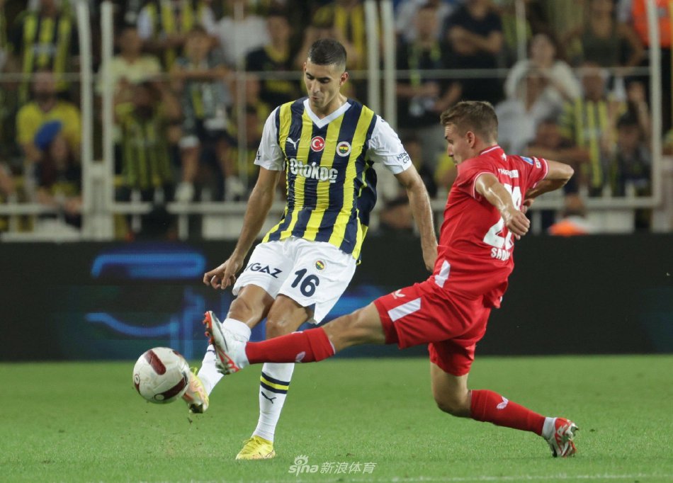 球迷来说 球迷来说